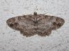 209708 – Photo : alain Roujas – France (31)